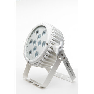 SnowPAR Pro Quad 10/W 10x8W Quad LED RGBW PC I/O,3&5 Pin DMX